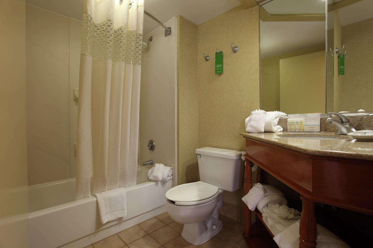 Bathroom 5, Hampton Inn Atlanta-Cumberland Mall- NW, Cobb