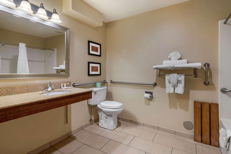 Bathroom 5, Comfort Inn & Suites Springfield I-44, Greene