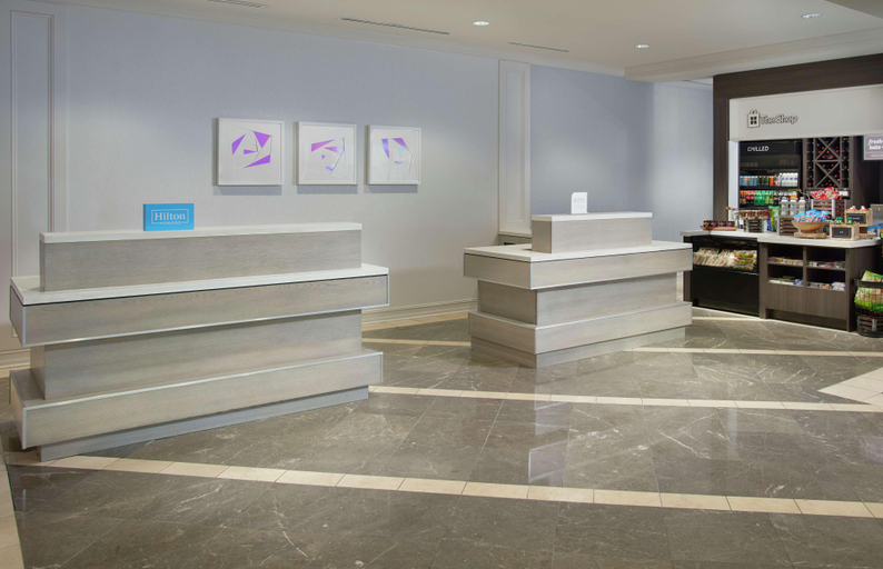 Public Area 3, Hilton Garden Inn - Atlanta Buckhead, Atlanta