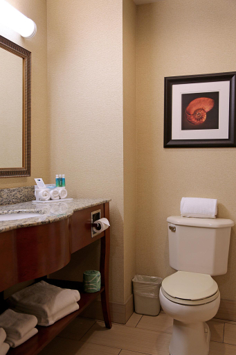 Bathroom, Holiday Inn Express Rehoboth Beach, Sussex