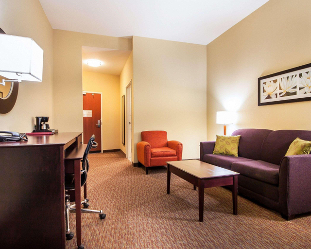 Public Area 2, Comfort Suites Pecos, Reeves