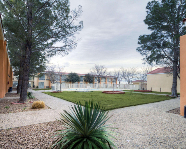 Sport & Beauty 5, SUBURBAN Pecos, Reeves