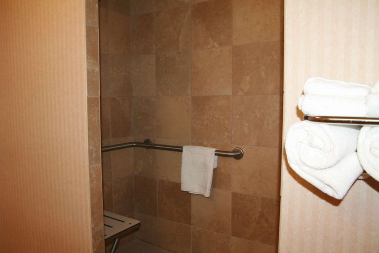 Bathroom, Hampton Inn Las Vegas North Speedway, Clark