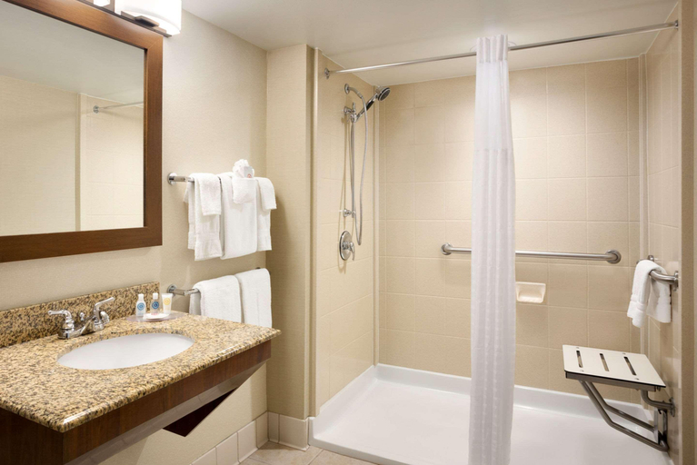 Bathroom 4, Comfort Inn & Suites Presidential, Pulaski