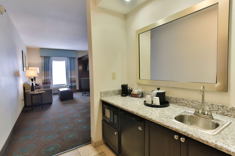Bathroom 4, Hampton Inn & Suites Middlebury, Elkhart