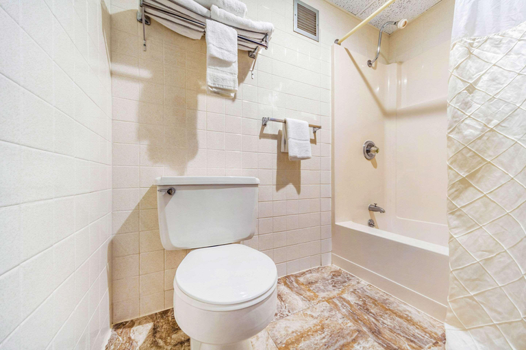 Bathroom 4, Econo Lodge Inn & Suites, Brookings
