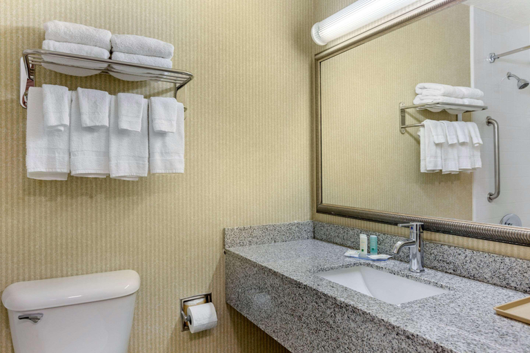 Bathroom 5, Quality Inn & Suites Oceanside Near Camp Pendleton, San Diego