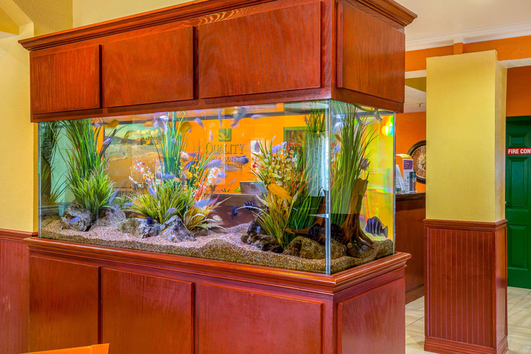 Food & Drinks 4, Hyatt Select Galveston – Beachfront, Galveston