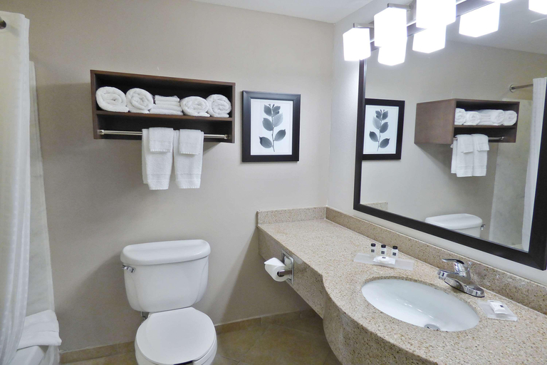 Bathroom 4, Country Inn & Suites by Radisson, Tampa/Brandon, FL, Hillsborough