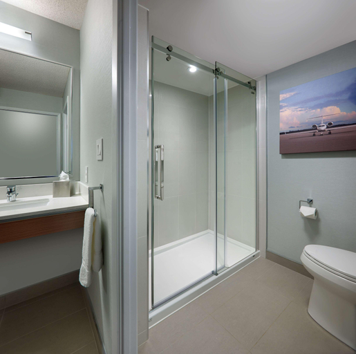 Bathroom, Radisson Suite Toronto Airport, Toronto
