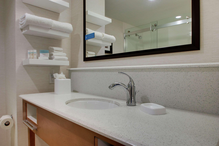 Bathroom 4, Hampton Inn Pawtucket, Providence