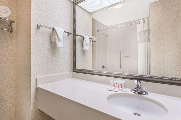 Bedroom 4, Rome Inn and Suites, Floyd