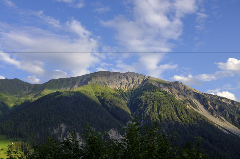 Hotel Bellevue Wiesen, Albula