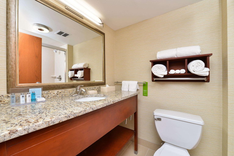 Bathroom 5, Hampton Inn Detroit Auburn Hills South, Oakland