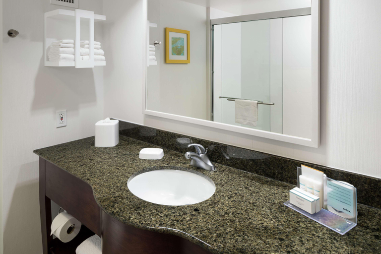 Bathroom 4, Hampton Inn & Suites Memphis-Beale Street, Shelby