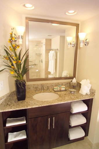 Bathroom 5, Gallery One Fort lauderdale - A Doubletree Hotel, Broward