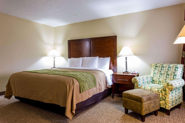 Bedroom 3, Comfort Inn Columbia West, Richland