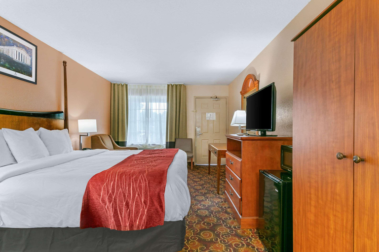 Bedroom 3, Comfort Inn Downtown Nashville-Vanderbilt, Davidson