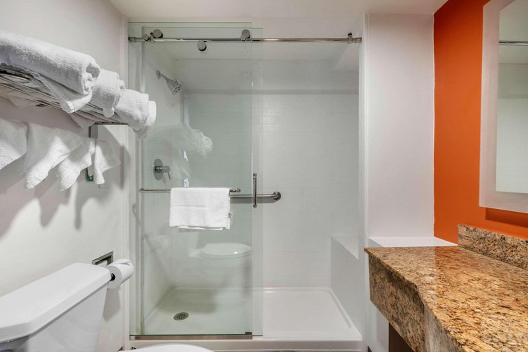 Bathroom 4, VetteCity Hotel, Warren