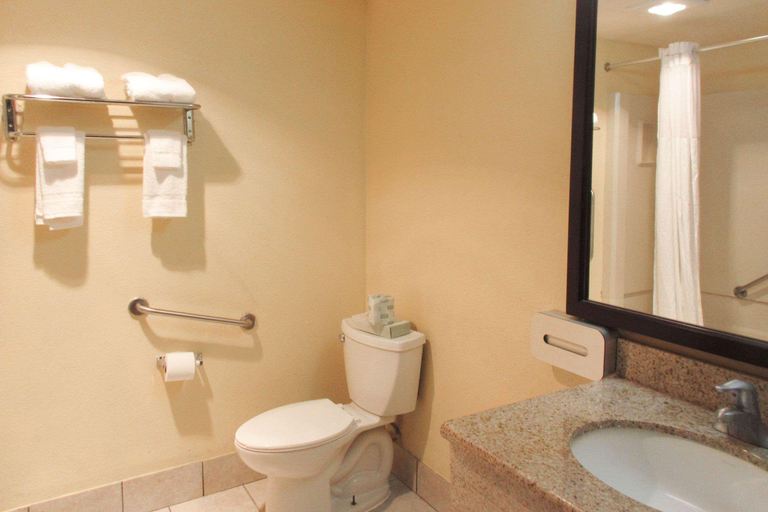 Bathroom 4, Quality Inn & Suites Cincinnati Uptown Norwood, Cincinnati