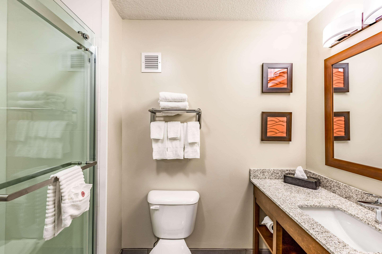 Bathroom 4, Comfort Inn Altoona-Des Moines, Polk