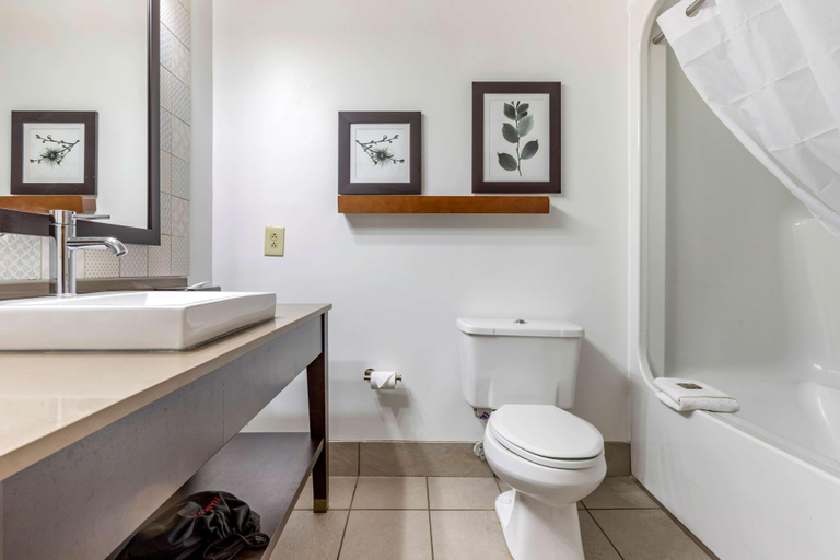 Bathroom 4, Country Inn Suites By Radisson Lumberton Nc, Robeson