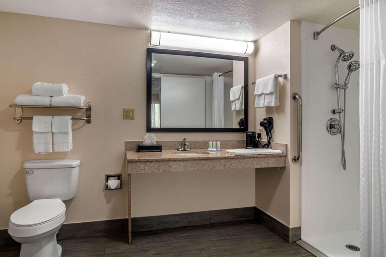 Bathroom 4, Quality Inn McDonough Atlanta South, Henry
