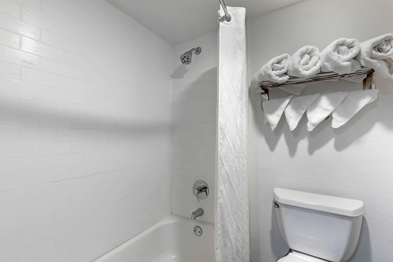 Bathroom 4, VetteCity Hotel, Warren