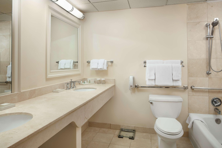 Bathroom 5, The Boca Raton, Palm Beach