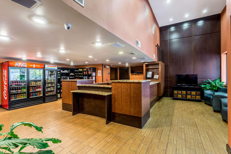 Public Area 3, Comfort Inn & Suites Nashville Stadium, Davidson