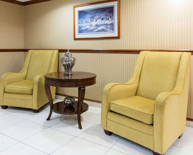 Public Area 2, Comfort Inn & Suites Airport Convention Center, Charleston