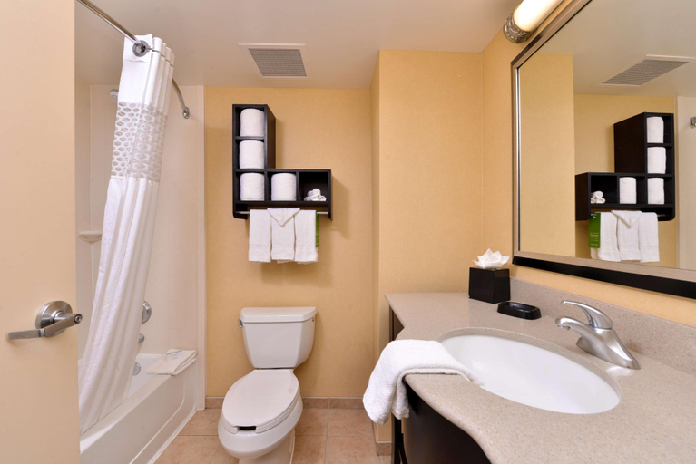 Bathroom 4, Hampton Inn & Suites Mt. Vernon Belvoir Alexandria, Fairfax