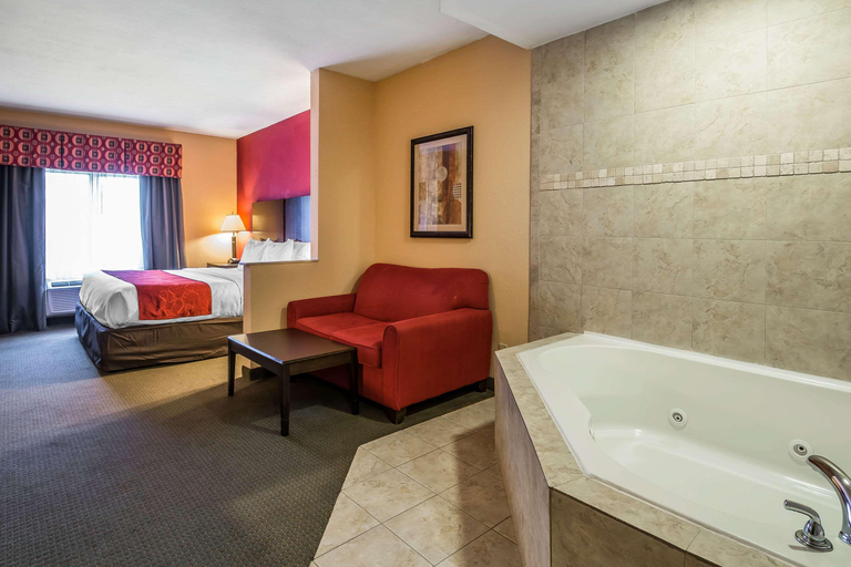 Bathroom 4, Comfort Suites West Jacksonville, Duval