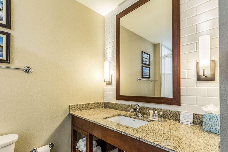 Bathroom 4, Comfort Suites Channelview, Houston