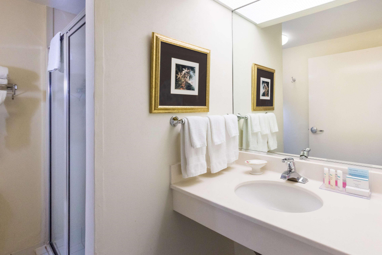 Bathroom 4, Hampton Inn & Suites Amelia Island-Historic HFront, Nassau