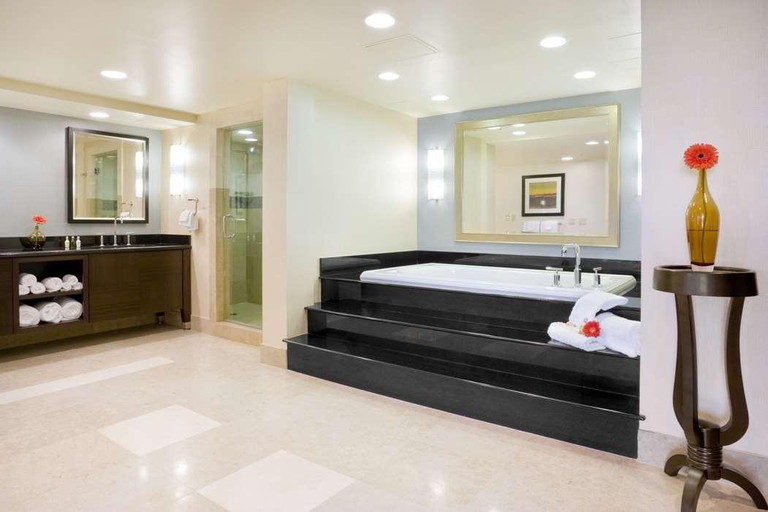 Public Area 4, DoubleTree by Hilton San Jose, Santa Clara