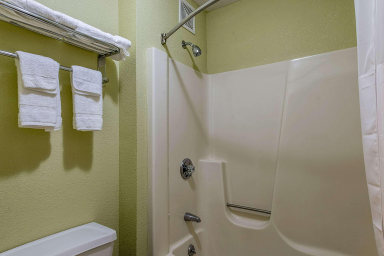 Bathroom 4, Quality Inn & Suites Hotel Muncie, Delaware