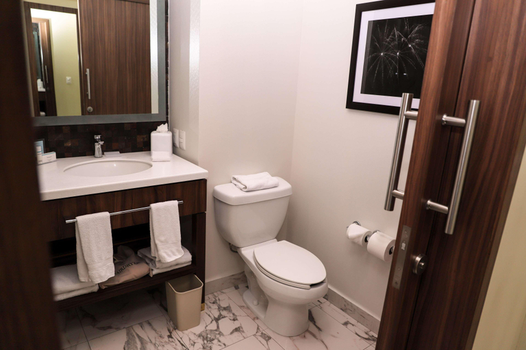 Bathroom 4, Hampton Inn by Hilton Irapuato, Irapuato