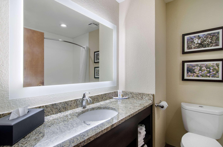 Bathroom 4, Comfort Inn St. Robert/Fort Leonard Wood, Pulaski