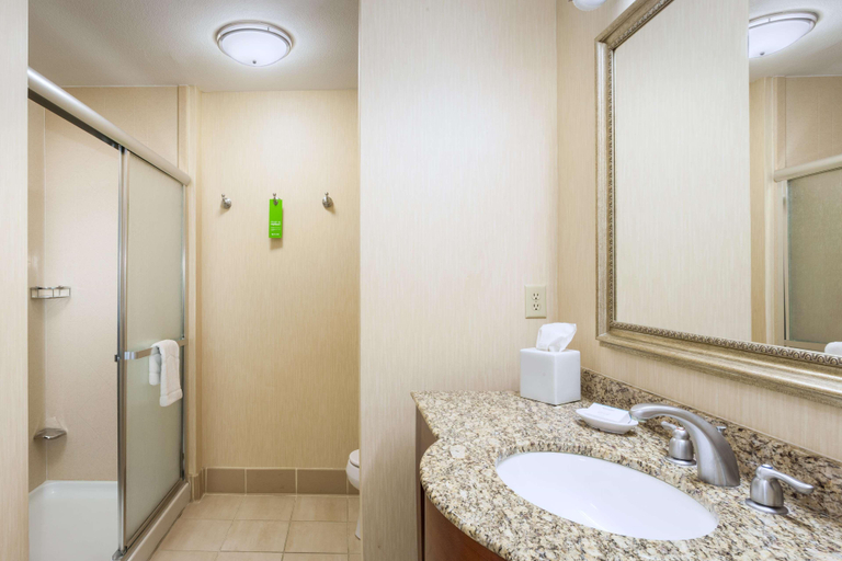 Bathroom 4, Hampton Inn & Suites Las Vegas Red Rock Summerlin, Clark