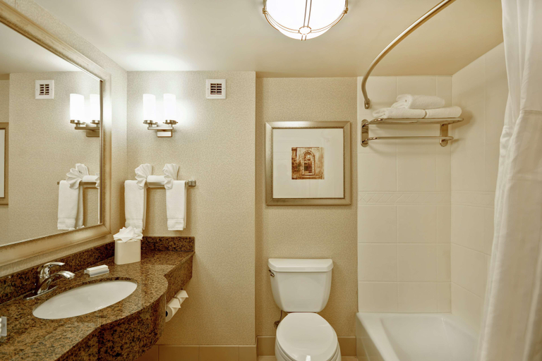 Bathroom 4, Hilton Garden Inn Ridgefield Park, Bergen