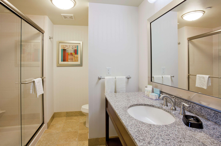 Bathroom 5, Hampton Inn & Suites Minneapolis West/ Minnetonka, Hennepin