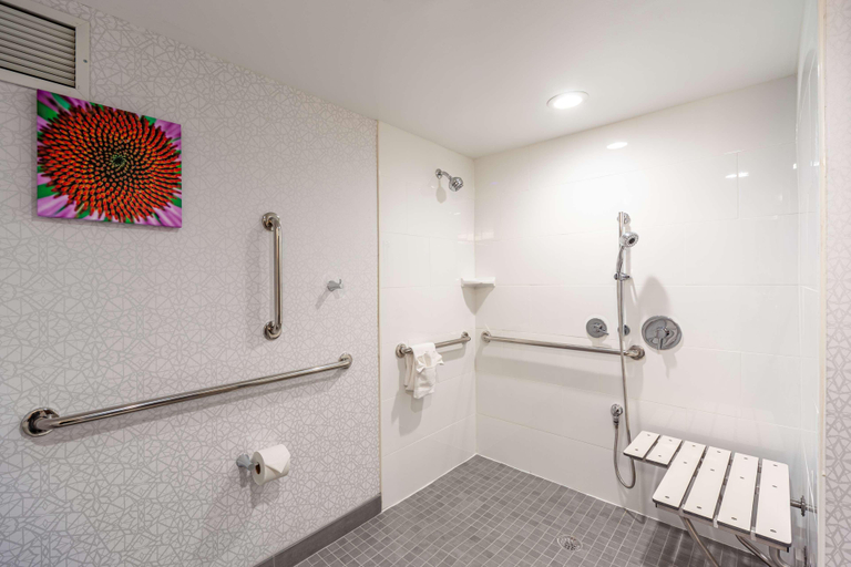 Bathroom 4, Hampton Inn Winchester N/Conference Center, Frederick