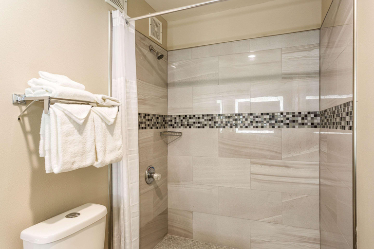 Bathroom 4, Econo Lodge Inn & Suites, Rutherford