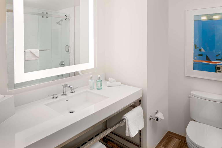 Bathroom 5, Embassy Suites by Hilton San Diego Bay Downtown, San Diego