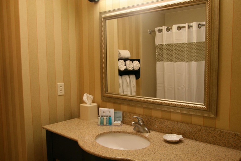Bathroom 4, Hampton Inn & Suites Chicago/St. Charles, Kane