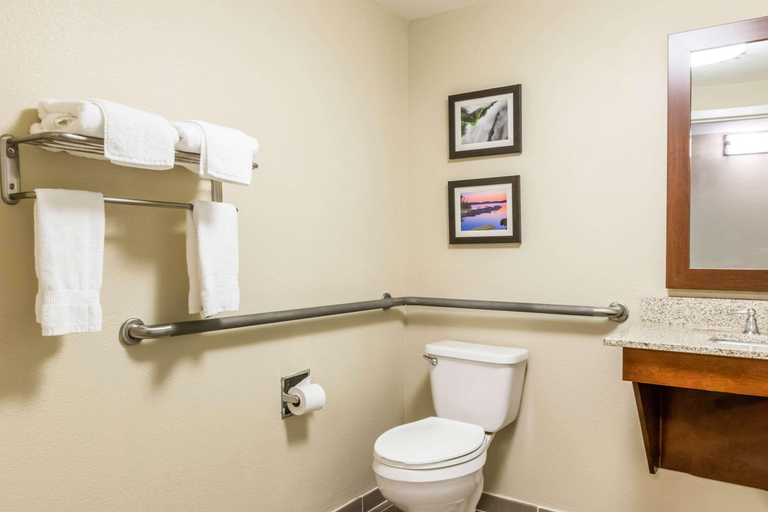 Bathroom, Comfort Inn Chambersburg Area, Franklin