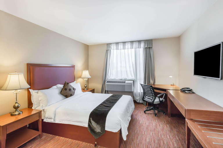Bedroom 11
