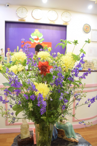Hanoi Lele & Frog Hotel, Hoàn Kiếm