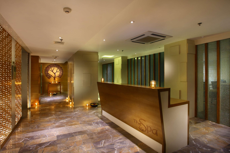 Public Area 4, Park Plaza Delhi CBD Shahdara, Delhi